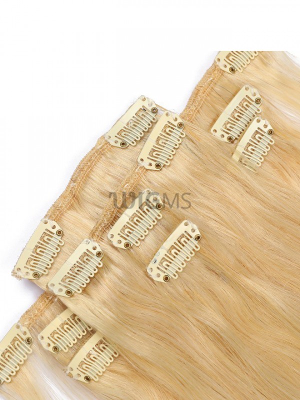 Blonde Long Straight Clip In Extension