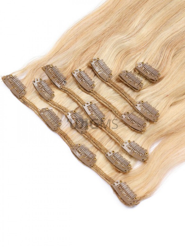 Blonde Long Straight Clip In Extension