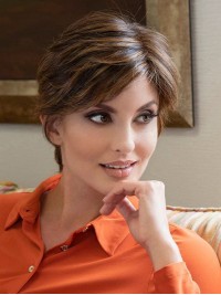 Short Human Hair Wigs Lace Front Straight Brown Wigs