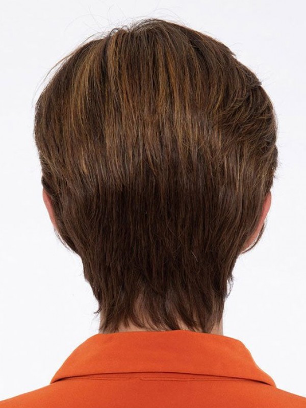 Short Human Hair Wigs Lace Front Straight Brown Wigs