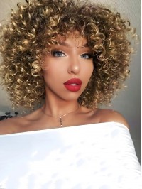 12" Classic Curly Brown Mixed Blonde Synthetic Wigs