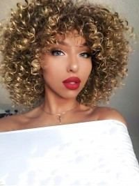 12" Classic Curly Brown Mixed Blonde Synthetic Wigs