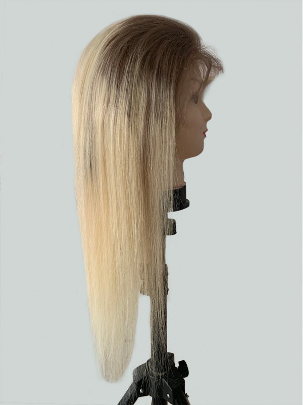 Ombre Long Straight Lace Front Human Wigs With Baby Hair